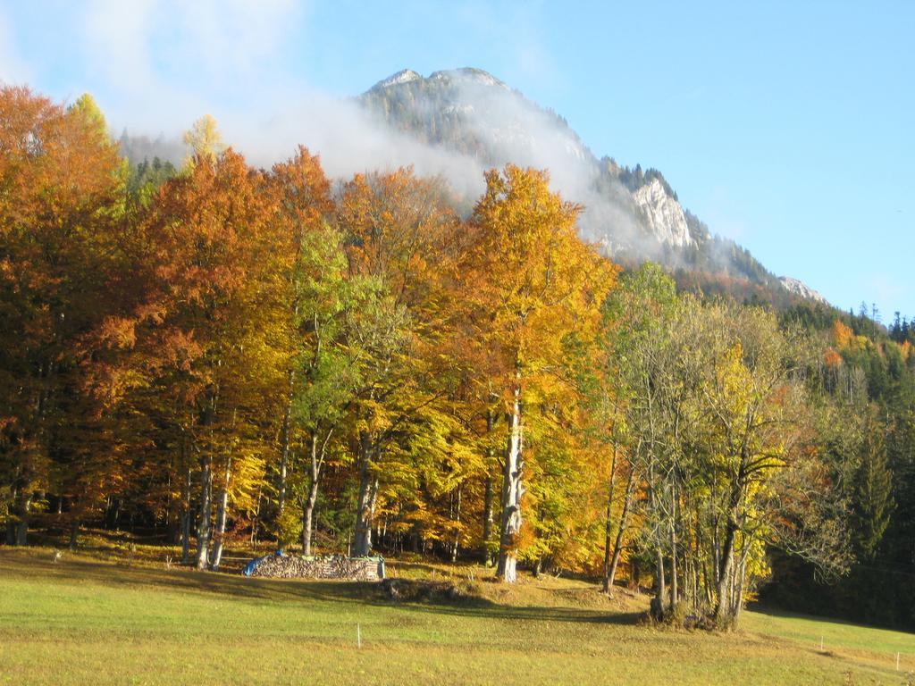 Appartamento Haus Schrei Grundlsee Esterno foto