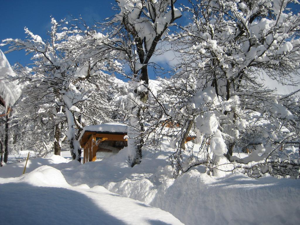 Appartamento Haus Schrei Grundlsee Esterno foto